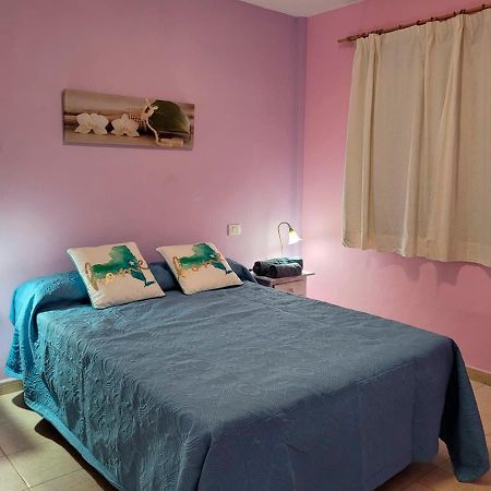 Apartamento Funcional En Residencial Con Piscina En Inmejorable Ubicacion En Centro De La Isla Caleta De Fuste Dış mekan fotoğraf